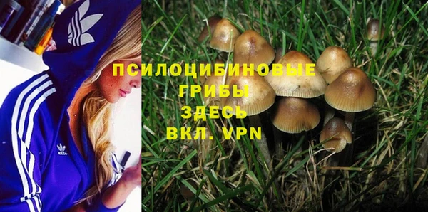 a pvp Костерёво