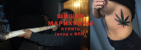 прущий лед Козельск