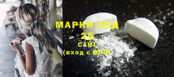 прущий лед Козельск