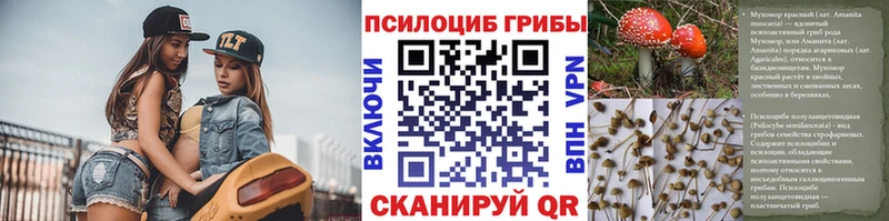 Галлюциногенные грибы Psilocybe  omg ссылка  Кизилюрт 